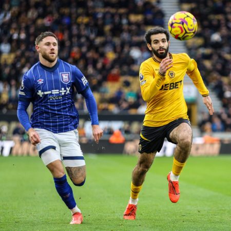 Wolves Searching for a New Manager