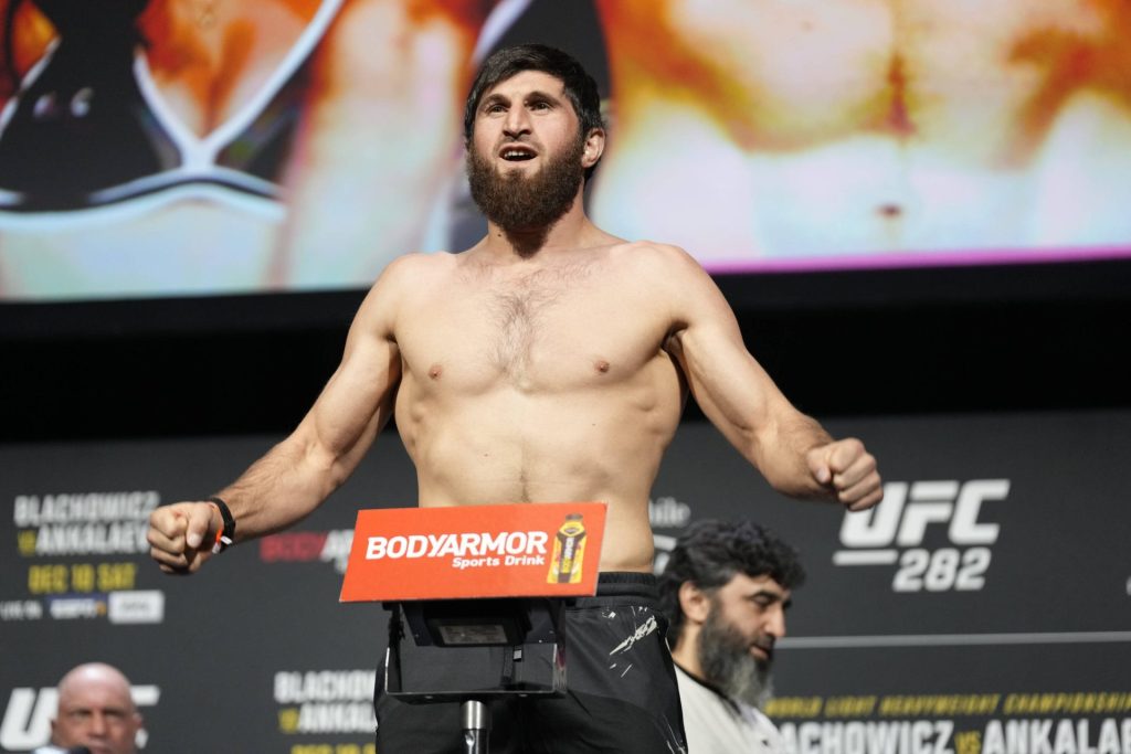 UFC 313