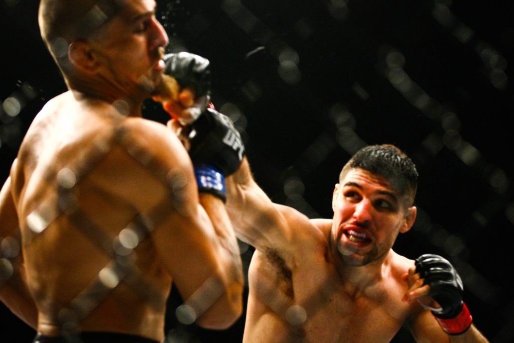 UFC 316